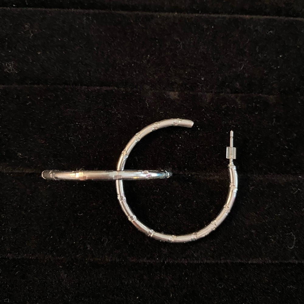 Hoop earrings